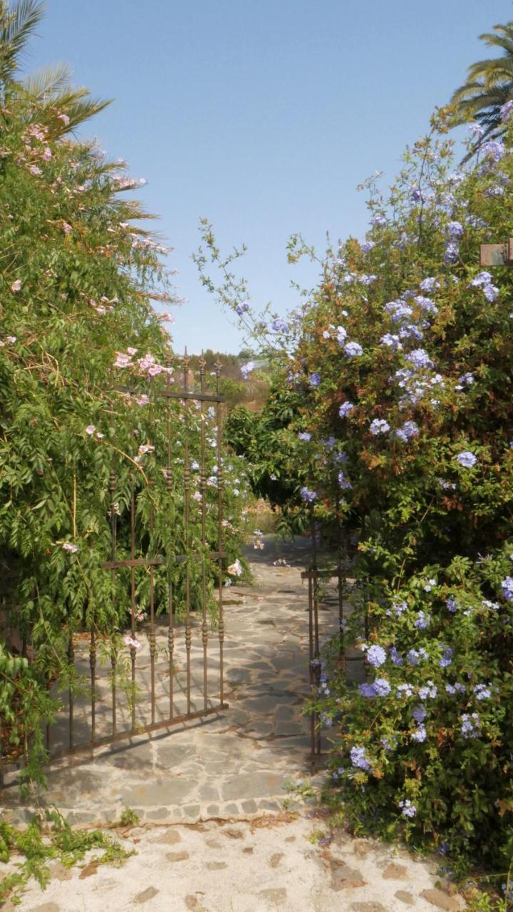 Casa Rural El Liron Инхенио Экстерьер фото