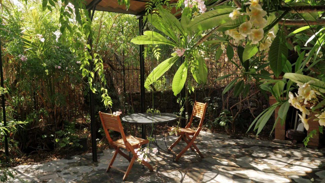 Casa Rural El Liron Инхенио Экстерьер фото